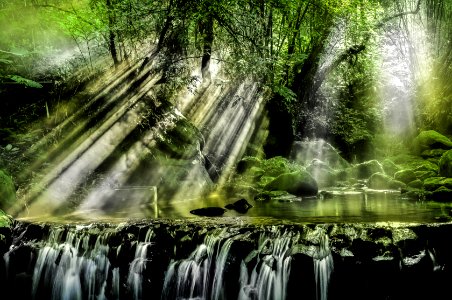 Waterfalls Surrounded By Trees photo