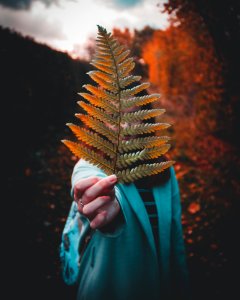 Photography Of A Woman Holding Fern photo