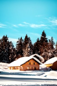 Snow-capped Houses photo