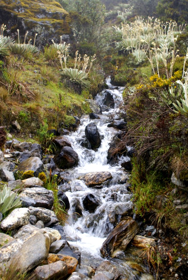 River During Daytime