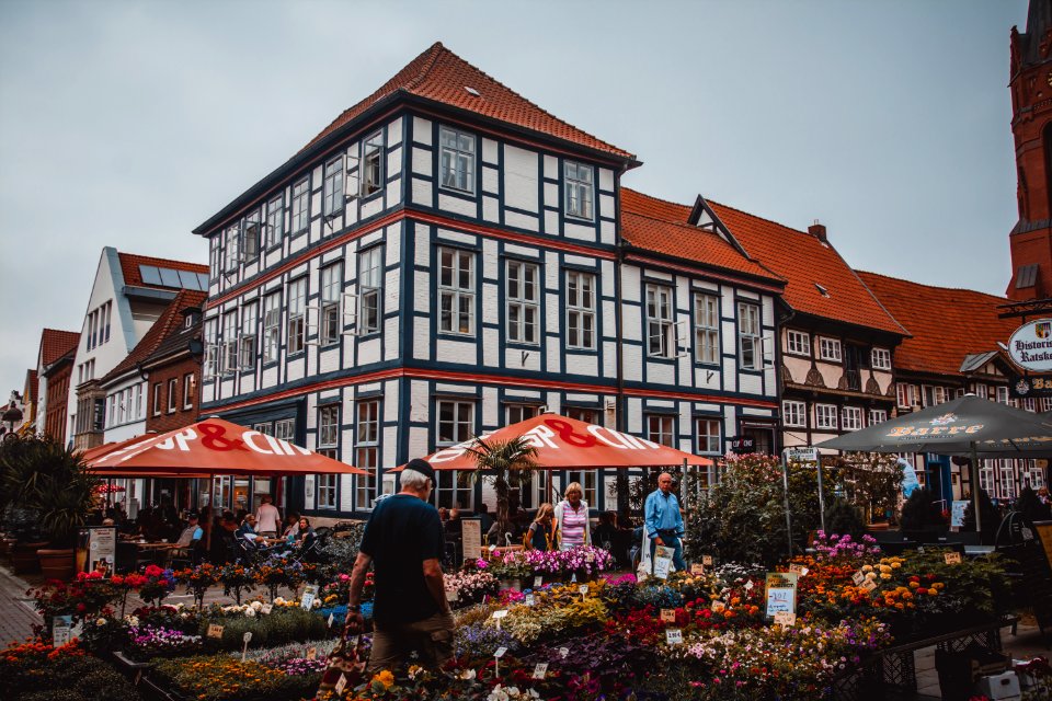 People Standing Beside Flowers Near Building