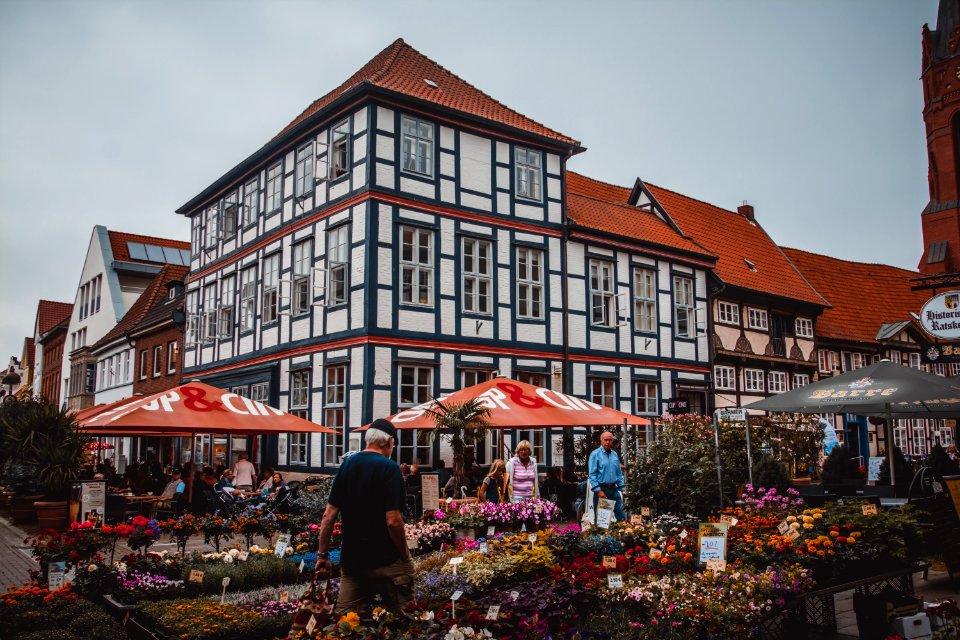 People Standing Beside Flowers Near Building photo