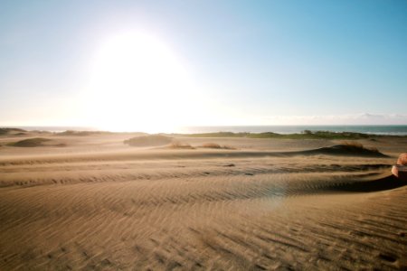 Gray Sand Field photo