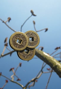 Tree luck tree of happiness