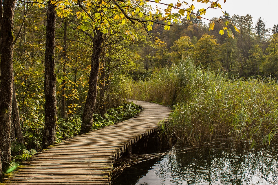 Landscape nature park