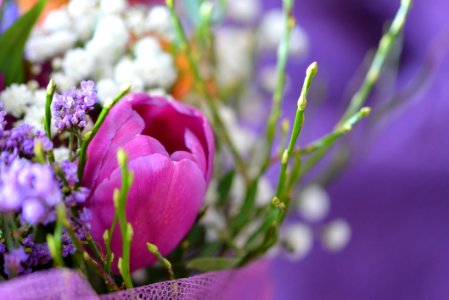 White And Purple Floral Decor photo