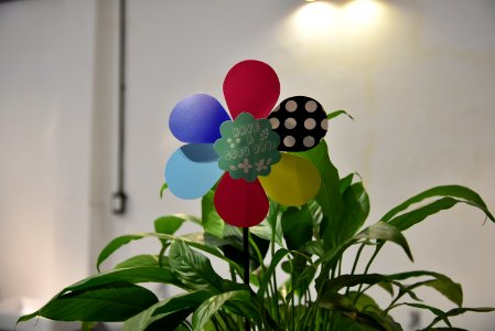Paper Flower Decoration Beside Green Leafed Plants