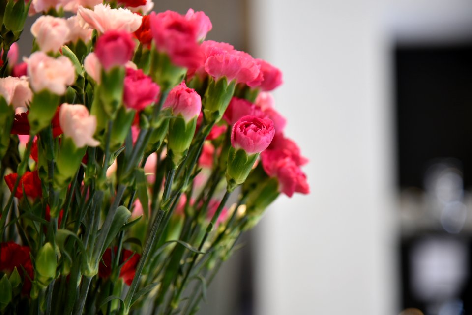 Pink Rose Bouquet