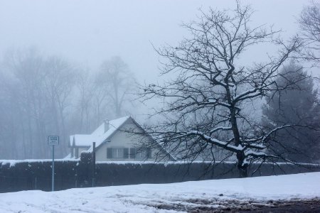 Photo Of House Near Tree During Winter photo