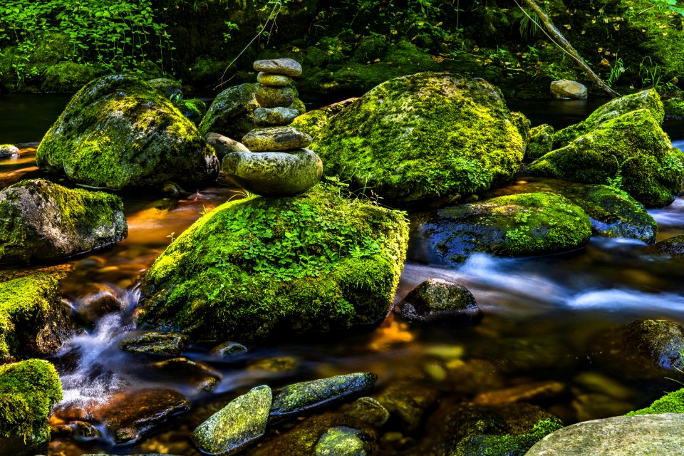 Rocks Covered With Moss