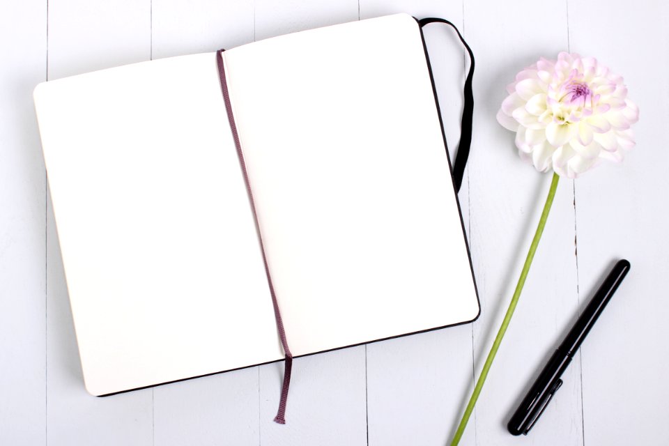 Notebook And Black Ballpoint Pen