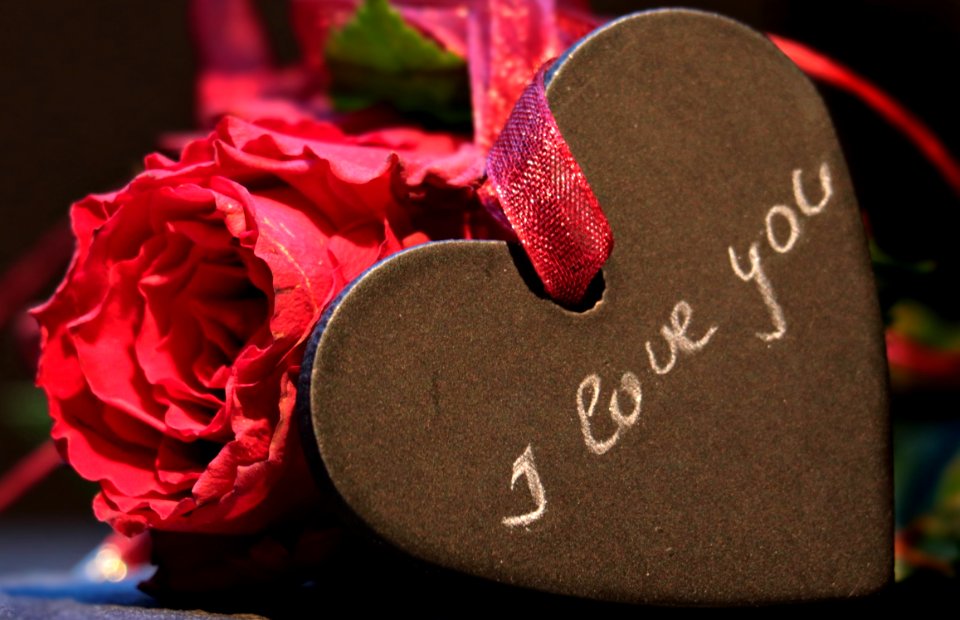 Red Love Petal Valentines Day
