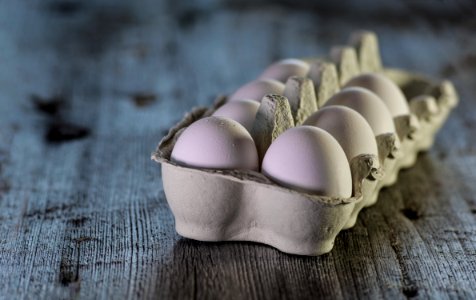 Close Up Egg Still Life Photography