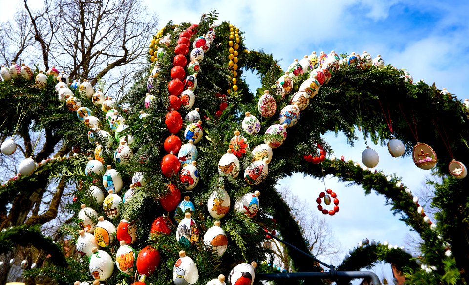 Tree Christmas Decoration Tradition Plant