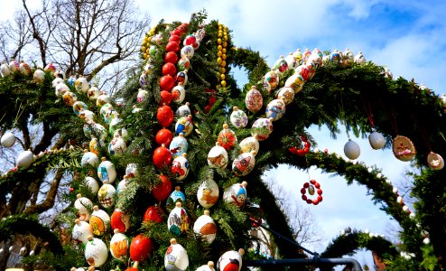 Tree Christmas Decoration Tradition Plant photo