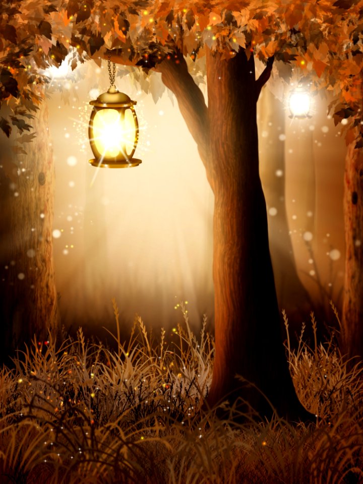 Lighting Sunlight Still Life Photography Computer Wallpaper
