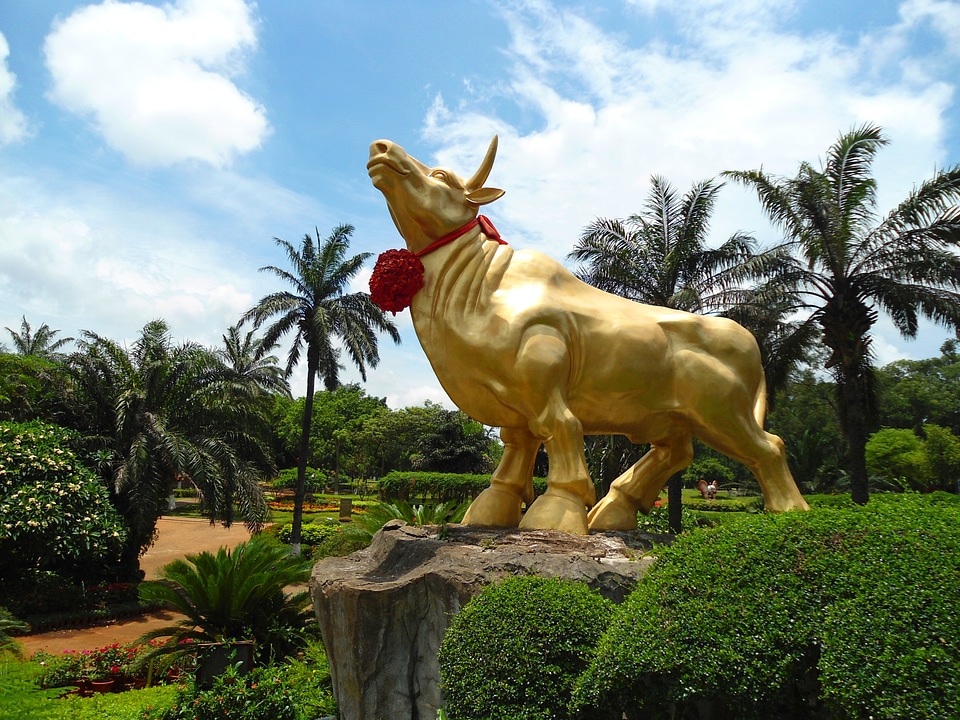 Clouds golden bull statue