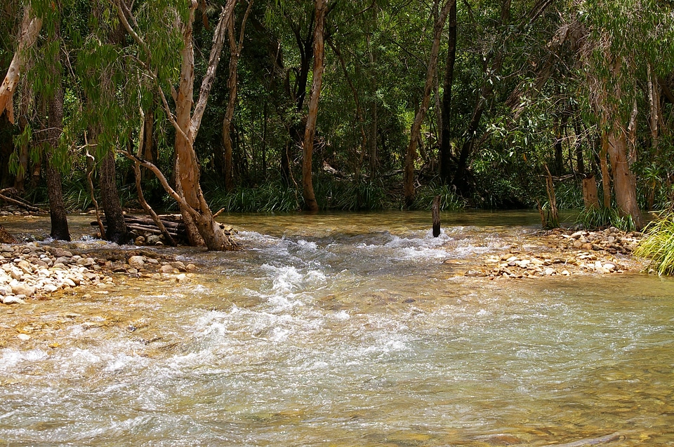 Creek scenic stream