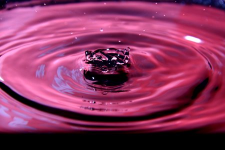 Drop Water Macro Photography Close Up photo