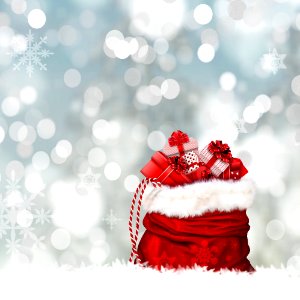 Red Christmas Ornament Christmas Christmas Decoration photo