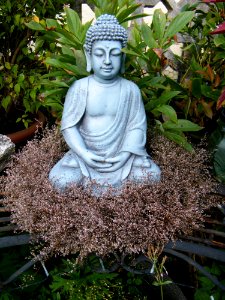 Buddha-in-the-garden-2821687