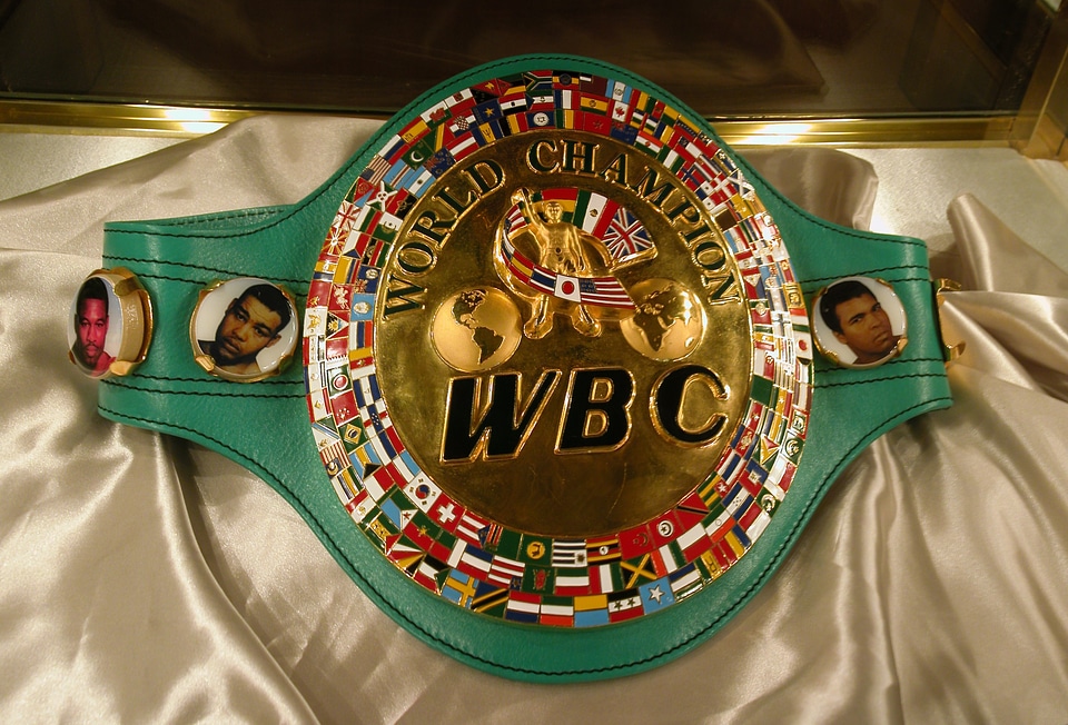 Championship belt brown sports brown box