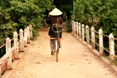 Path Road Bicycle Bicycle Tree photo