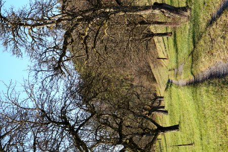 Winterthur-herbst-2017-02