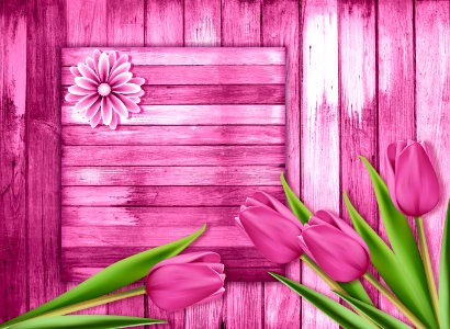 Flower Pink Flora Purple