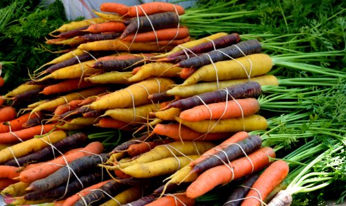 Carrot Vegetable Produce Local Food