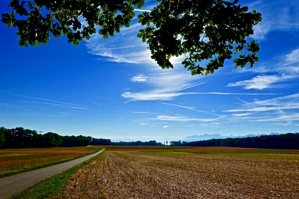 Sky Cloud Field Nature