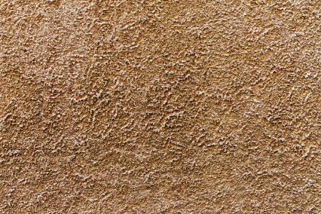 Soil Texture Grass Material
