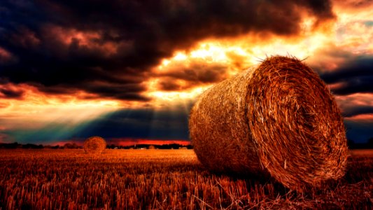 Sky Field Hay Straw photo