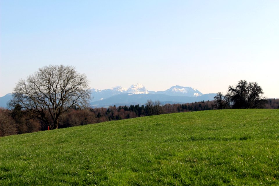 Grassland Sky Pasture Field