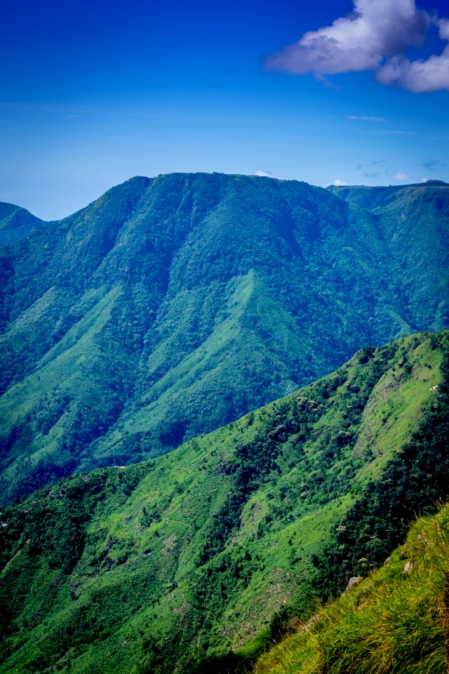 Landscape Photo Of Mountain Surrounded By Trees