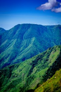 Landscape Photo Of Mountain Surrounded By Trees photo