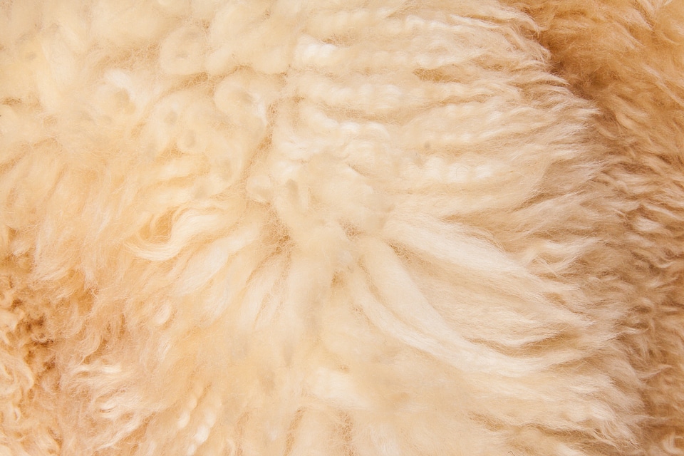 Sheepskin lambskin use