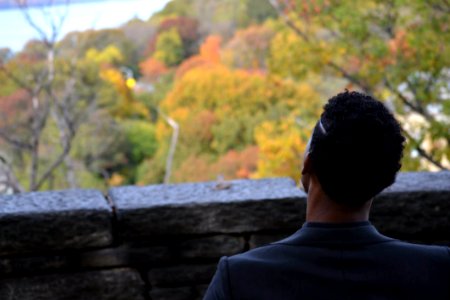 Back View Of A Man Overlooking Autumn Treetops photo