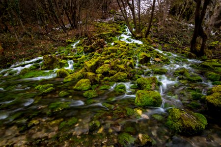 Flowing River And Moss Covered Rocks