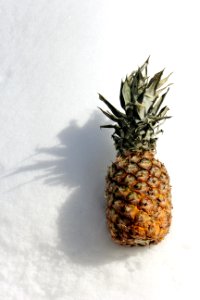 Pineapple photo