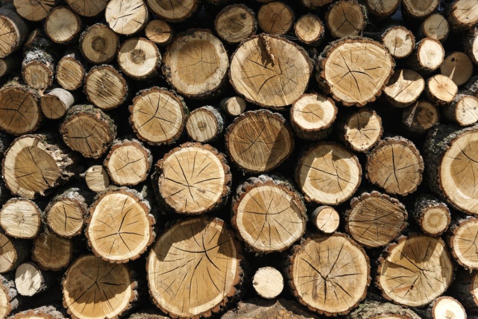 Photography Of Woodpile