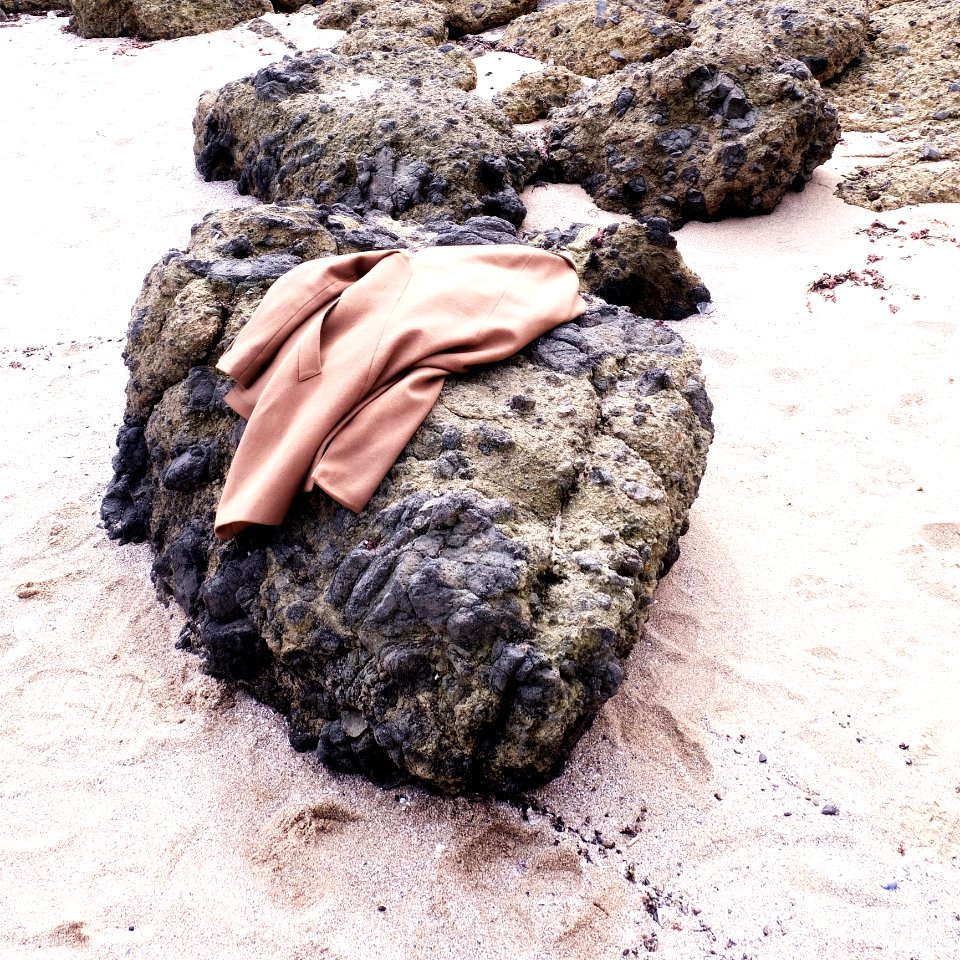 Brown Coat On Black Stone