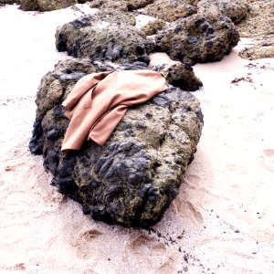 Brown Coat On Black Stone