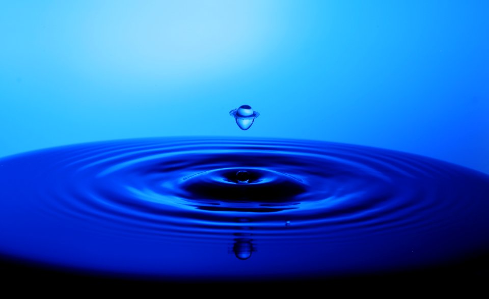 Water Dew Photogrpahy