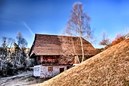 Brown Roof House Near Withered Trees Photography photo