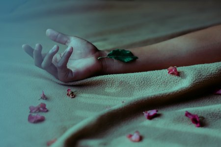Hand With Green Leaf