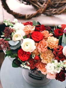 White Red Orange And Brown Flowers photo