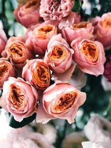 Pink Rose Flower Bouquet photo