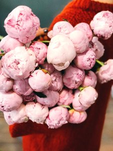 Pink Flower Bouquet photo