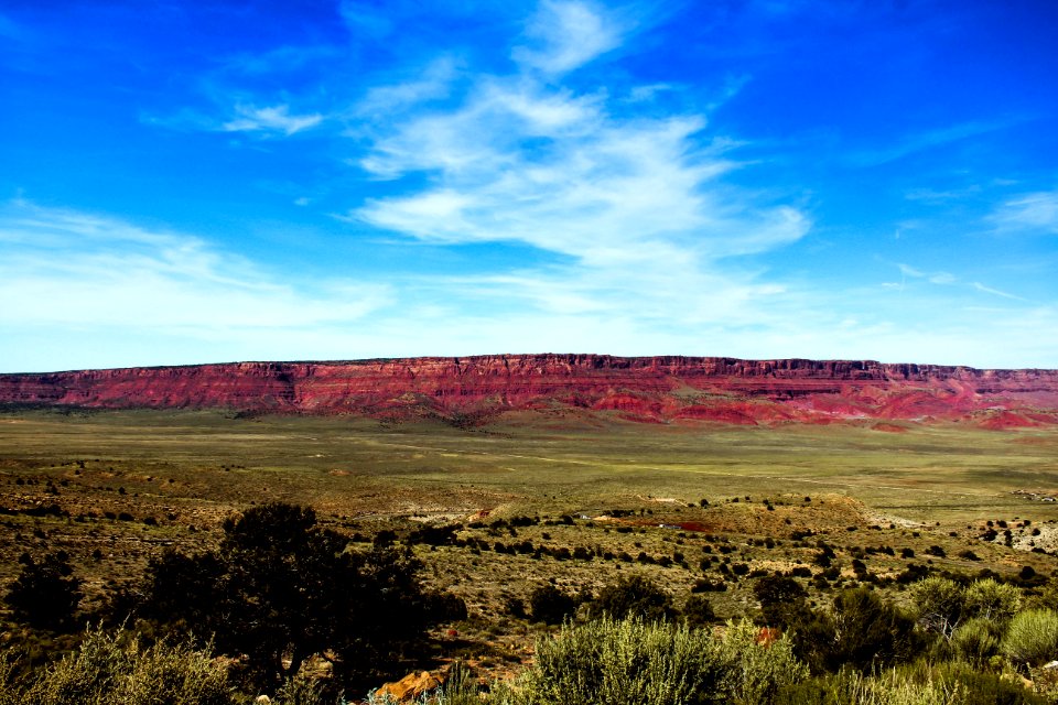 Sky Ecosystem Grassland Plain